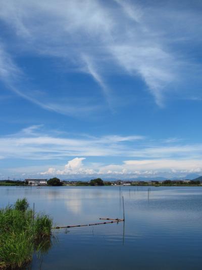 仕事後に通る、伊庭内湖・西の湖・大中干拓地の風景