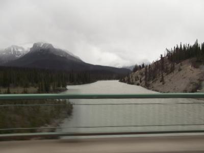 ええ加減これで最後か？　11回目のカナダ　5日目　アイスフィールド・パークウェイ