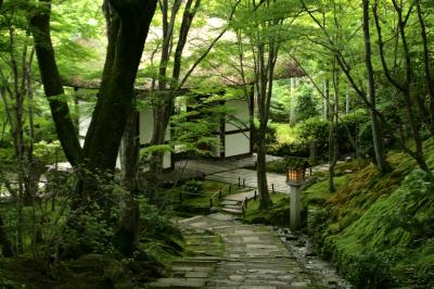 浅緑、浅葱、萌黄、鶸萌黄・日本の美の真髄か？京都、色の情景