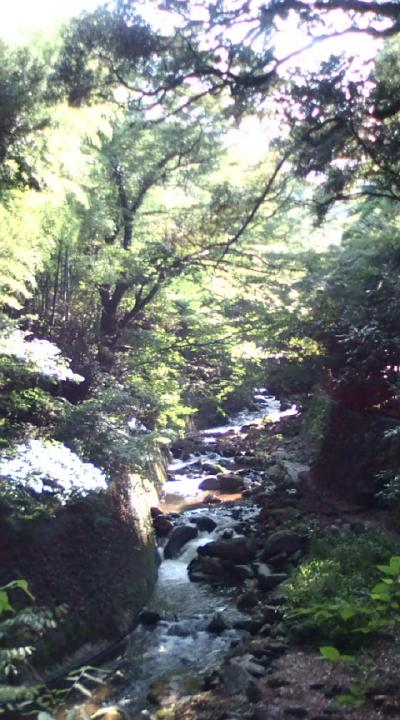 湯河原☆　涼んで　食べて　源泉かけ流しです♪　　
