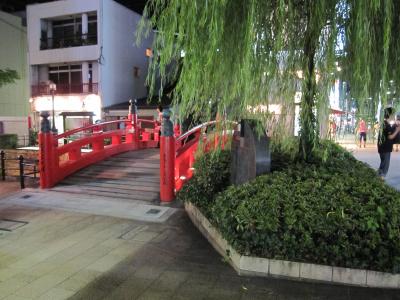 四国一周ドライブ旅行(1日目) 祖谷・高知