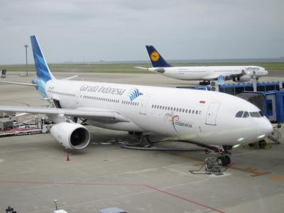 ほぼ何もしない休日 バリ島 1日目