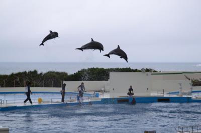 沖縄ドライブの旅②