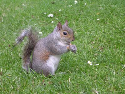 ロンドンのんびり公園巡り②