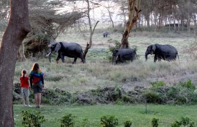 ケニアサファリ　１　アンボセリ到着