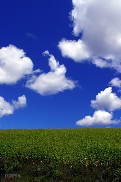 21年ぶりに瀘沽湖の友人を訪ねる～2011年雲南・四川の旅　【その3】