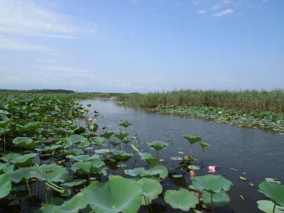 ラムサールとアンザリ潟