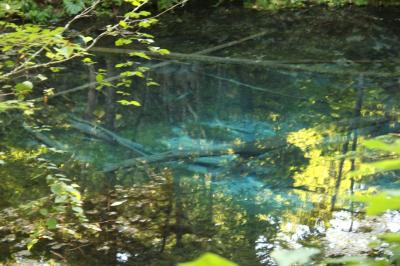 感動の旅！道東2011年夏（その２）　開陽台　佐伯農場　神の子池　裏摩周　カラマツの湯　