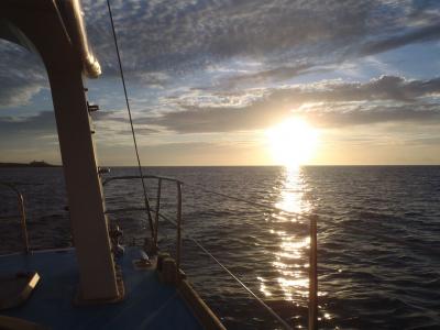 どっかいきたいな　南の果てまで１