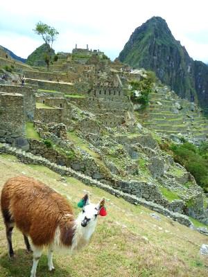 ペルー10日間1人旅(4) ついに来た!マチュピチュ