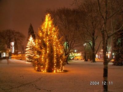 冬のナイアガラ