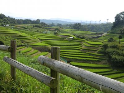 2011  大阪　千早赤阪村に棚田百選がありました！！！