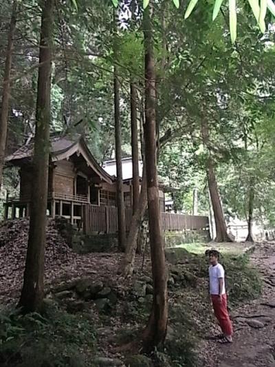 実家へ帰らせていただきます(夫のね)part1「熊野古道と新宮市観光」