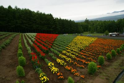 2011夏旅第１章　雨の富良野・美瑛散策＆大雨の旭山動物園