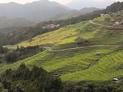 実家へ帰らせていただきます(夫のね)part2「熊野倶楽部とその周辺観光」