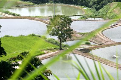 越後路は　緑あふるる　里景色