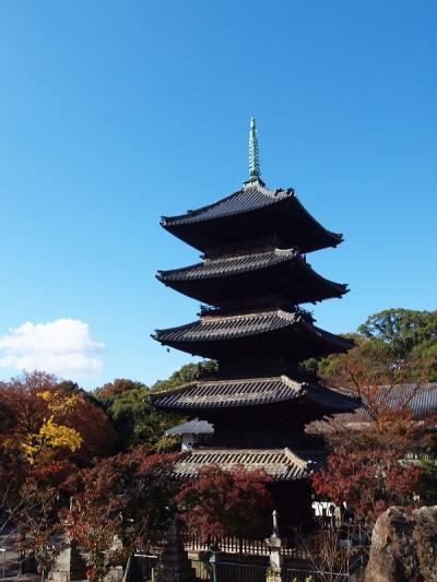 八事で食べつくせ！月に１回通っておいしい物を発見しよう♪２０１１年秋　興正寺の紅葉