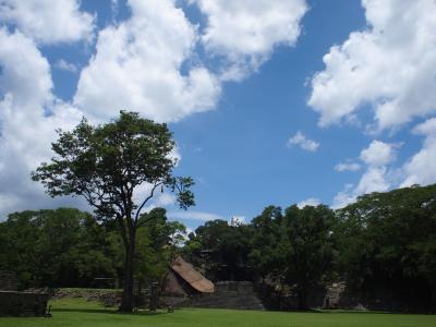 その4、2011盛夏・マヤ遺跡の旅　：　Los Hilos ～糸～、縦と横と織り成す綾と / コパンへ遺跡