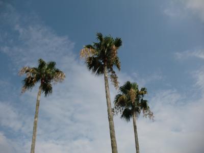 名古屋のワイキキ♪サンビーチ日光川 2days