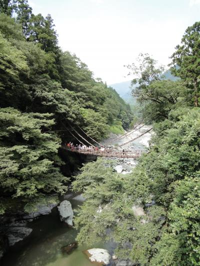 大歩危　小歩危　祖谷のかずら橋