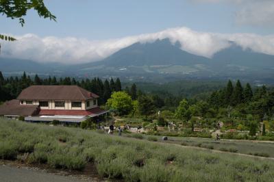 蒜山高原に遊ぶ