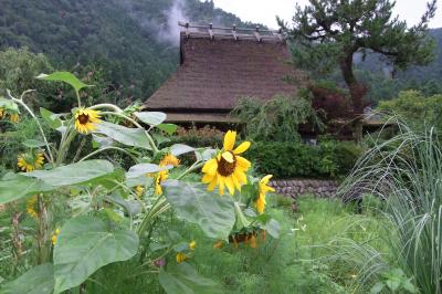 京都・美山：夏の日の思い出