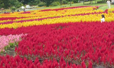 2010夏休み九州旅行～久住・長崎・別府～