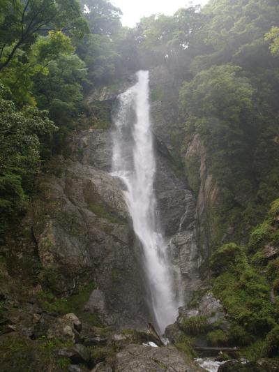 熊本県滝めぐり（３）　滝メグラーが行く１２６　日本の滝百選・栴檀轟（せんだんとどろ）