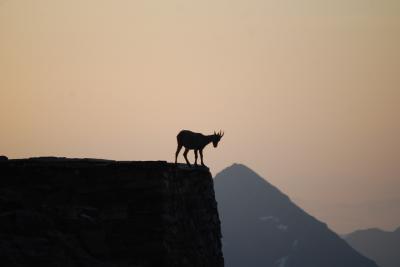 アオスタ地区アルプスハイキングの旅の思い出④グリエルミーナにおける早朝の風景とサラチ峠の風景