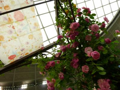 薔薇に癒される　今年も　国際バラとガーデニングショウ　　２０１１・５