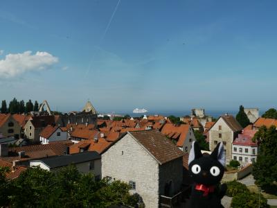 北欧1人旅(*・ω・*)~ゴットランド島~