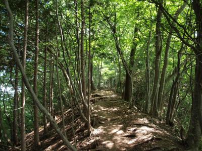 山登り 伊豆ヶ岳