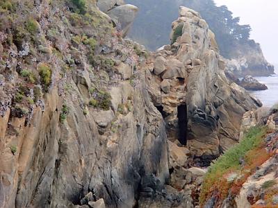 サンフランシスコからの西海岸ドライブと温泉の旅（２０１１年８月）。。。その８「ポイントロボス州立公園」