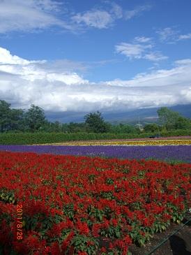 家族で北海道・2