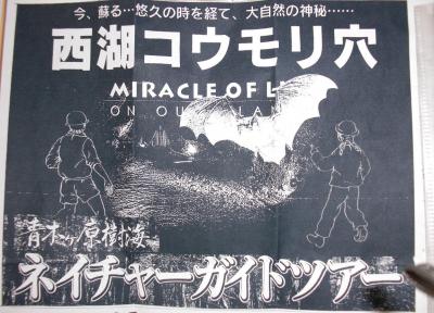 青木ヶ原樹海　西湖コウモリ穴　ネイチャーツアー2011.8