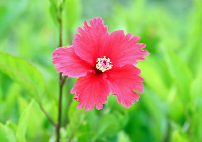 急遽、沖縄に行くことになりました。 PART1