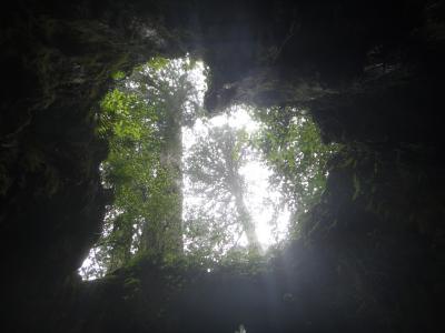 もりだくさん屋久島7日間