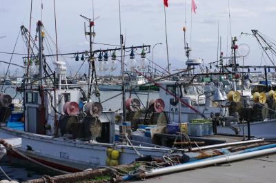 【鳥取県（境港）】境港にて旬の魚をいただく旅