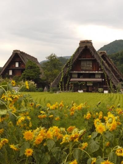 日本の夏旅！女子旅！飛騨高山と白川郷１日目　白川郷を歩き倒す・・・☆その２