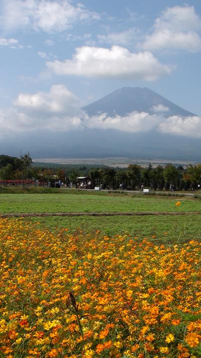 ’１０　秋の河口湖　「うぶや宿泊記」＋富士山観光