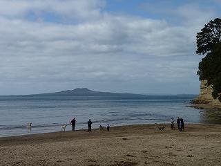 RWC直前!オークランド最新情報 <お天気・服装編>