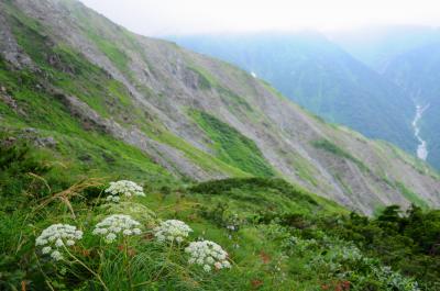 高山植物咲く夏の白馬へ【１】～雷に追われた八方尾根～