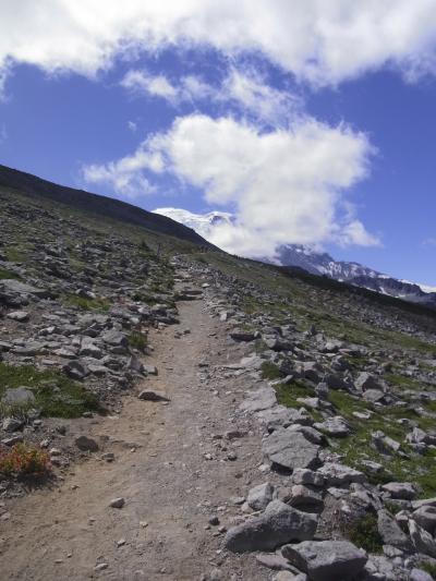 マウント・レーニアで、オートキャンプ+ハイキング