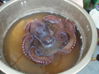 彩子と行く 久米島☆宮古島 2日目