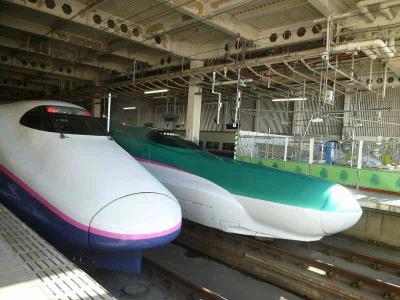 ☆---東北新幹線　はやぶさ------------------------------------☆ 　