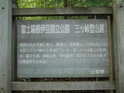 久しぶりの三ッ峠へ=①山頂へ=