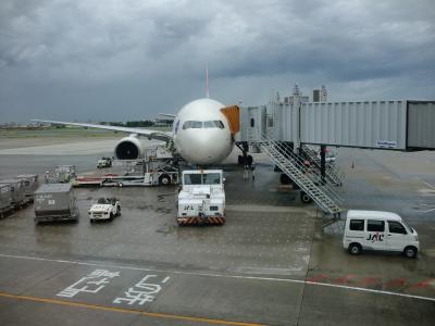 ◆兵庫◆大阪空港～JL128　ITM-HND 台風と飛行機