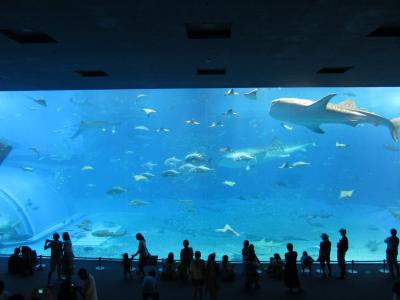 台風を退けて！沖縄の旅～前篇