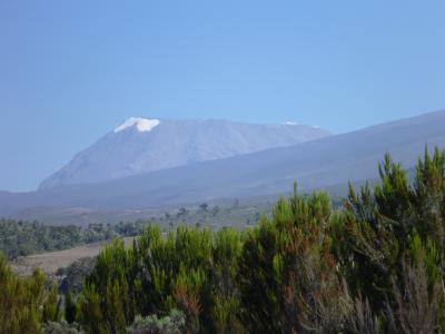 キリマンジャロ登山（マラングルート）