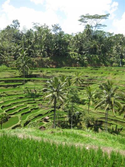 2初バリは適度に観光、適度にのんびり　～ウブド周辺編～